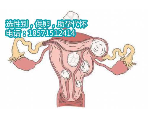南京代生女孩产子价格,泰国试管胚胎移植的